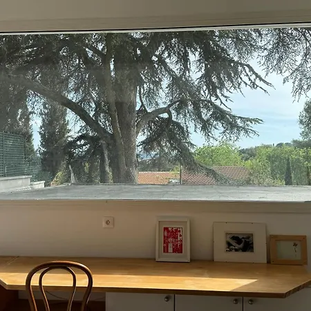 Duplex Pinede Et Garrigue